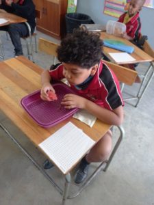 YAPS Fun Activities