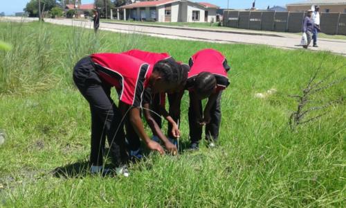 YAPS students exploring the outdoors
